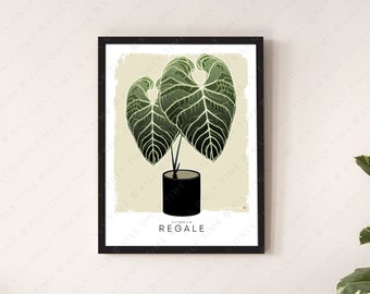 May include: A framed print of a green Anthurium Regale plant with large, heart-shaped leaves. The plant is in a black pot and the print has a beige background.