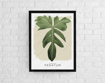 Modern Philodendron Pedatum Art Print: Hand-Drawn Botanical Tropical Leaf Illustration, Minimalist Plant Poster