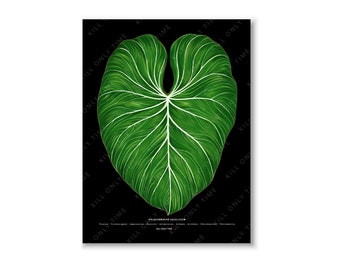 Philodendron Gloriosum Wall Art, Philodendron Foliage Art Print, Botanical Leaf Illustration, Tropical Plant Poster, Gloriosum Leaf Drawing