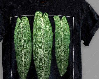 Anthurium Veitchii Unisex T-Shirt: Hand-Drawn Distressed Vintage Style Tropical Plant Illustration Comfort Colors Tee