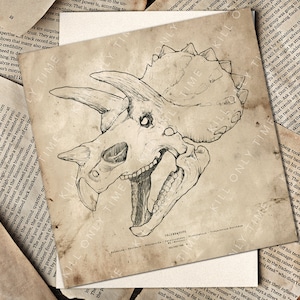 Triceratops Skull Wall Art, Vintage Dinosaur Print, Dinosaur Skull Fossil Drawing, Triceratops Anatomical Sketch, Antique Jurassic Era Art