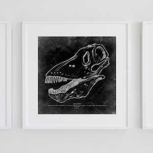 Amargasaurus Skull Drawing Wall Art, Vintage Antique Dinosaur Skull Art Drawing, Dinosaur Fossil Wall Print, Jurassic Era Anatomical Sketch