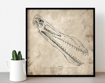 May include: A black and white line drawing of a dinosaur skull on a vintage-style paper background. The skull is depicted with an open mouth, showing rows of sharp teeth. The text "Allosaurus" is printed below the skull.