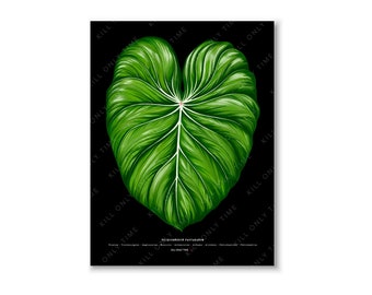 Philodendron Pastazanum Wall Art, Philodendron Foliage Print, Botanical Leaf Illustration, Philodendron Houseplant Wall Decor Pastazanum Art