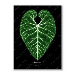 Anthurium Regale Wall Art, Anthurium Leaf Art Print, Botanical Illustration, Regale Foliage Art Poster, Anthurium Regale Modern Art Drawing