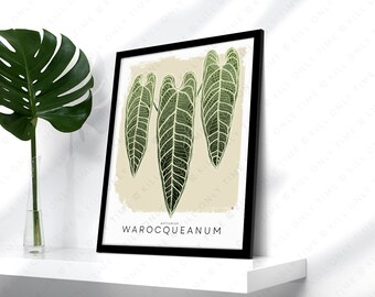 May include: A framed art print featuring three stylized green leaves with white veins against a beige background. The print is in a black frame and is labeled "WAROCQUEANUM". A large green leaf is in a clear vase on a white shelf.