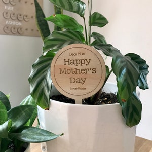 Mother's Day gift - planter stick - flower pick - cake topper - laser cut wood - personalised - engraved - customised - large