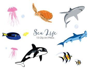 Clip Art Sea Life | 9 Ocean Animals Clip Art PNGs | Digital Download