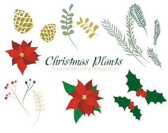 Winter Plants Art | Holiday Christmas Botanical PNGs | Digital Download