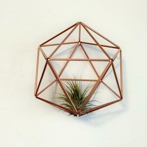 Metal air plant holder, Airplant hanger, Glassless terrarium,  Tillandsia display