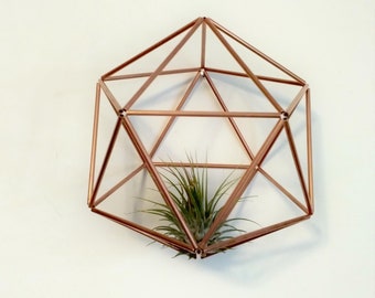 Support d’usine d’air en métal, cintre Airplant, terrarium sans verre, présentoir Tillandsia