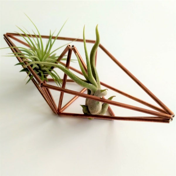 Unique air planters, Air plant holder, Paperboat airplants display, Geometric cubicle decor