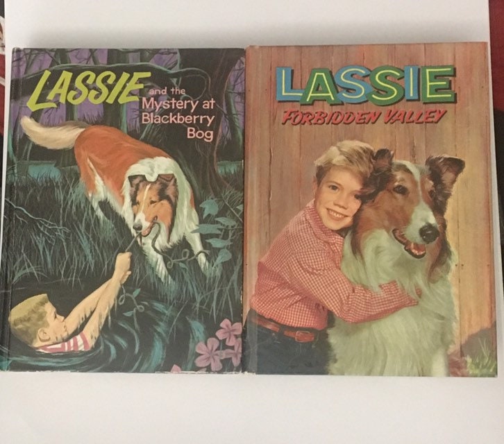 Lot Of 2 Vintage Lassie Books1956 And 1959whitmanillustrated Etsy 