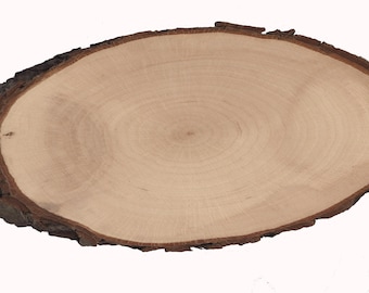 Bark board wooden disc tree disc 27/31 x13x2 cm