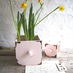 Holzschublade mit Holzknopf in XL 15cm Shabby Pflanzschublade mit Folie in Rosa