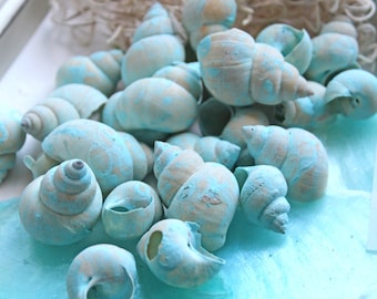 0.10Euro/pc 20 conchas de caracol conchas aqua pintura de tiza azul claro 2-3 cm caracol de concha "Umachi" decoración artesanal marítima DIY decoración natural
