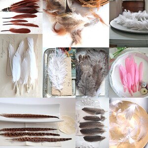 0.30Euro/piece 5 duck feathers mix feathers natural blue brown grey 8-12 cm decorative feathers craft DIY Christmas Easter decoration image 6