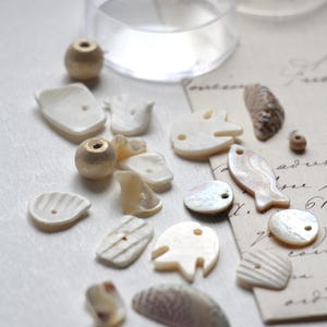 Könnte beinhalten: Eine Sammlung verschiedener Muschelschmuckperlen und dekorativer Elemente in Weiß-, Beige- und schillernden Farbtönen. Die Auswahl umfasst fischförmige, runde und muschelartige Stücke sowie zwei kleine, goldfarbene Perlen. Ein klarer Kunststoffbehälter befindet sich im Hintergrund.