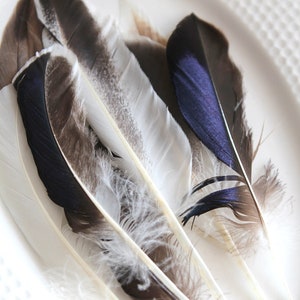 0.30Euro/piece 5 duck feathers mix feathers natural blue brown grey 8-12 cm decorative feathers craft DIY Christmas Easter decoration image 3