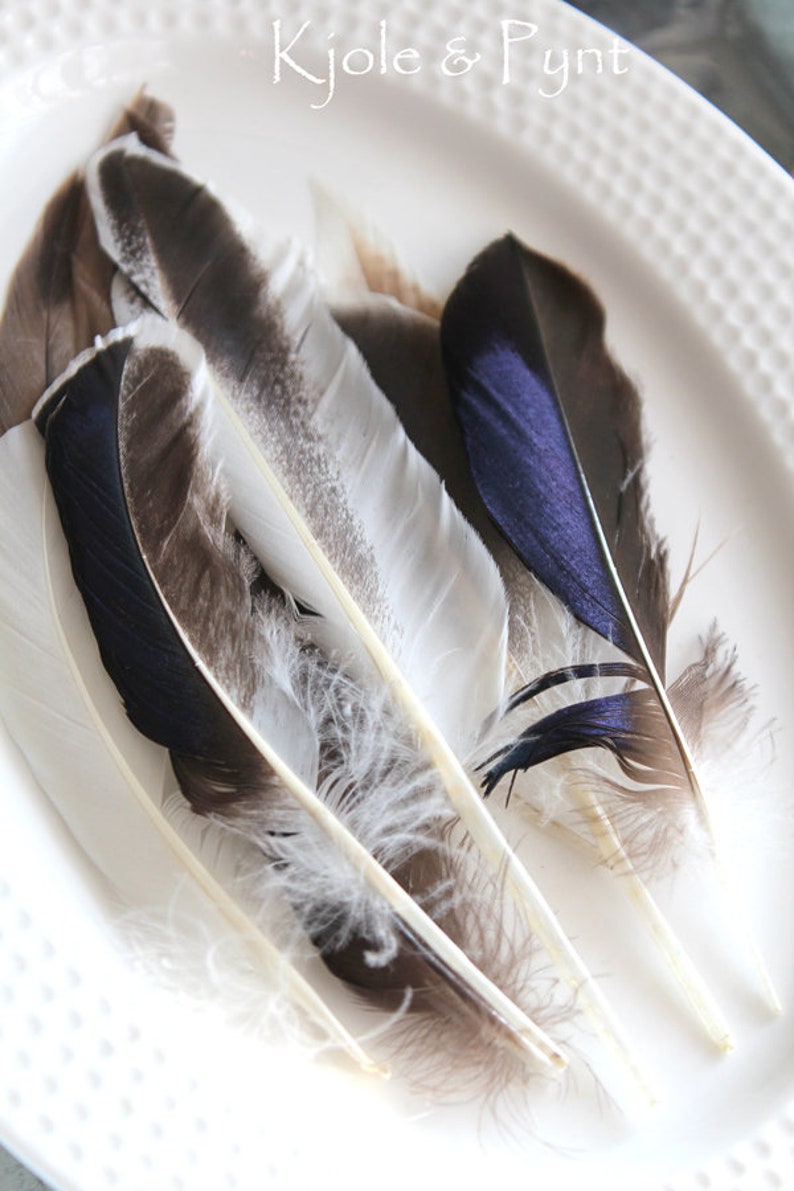 0.30Euro/piece 5 duck feathers mix feathers natural blue brown grey 8-12 cm decorative feathers craft DIY Christmas Easter decoration image 3