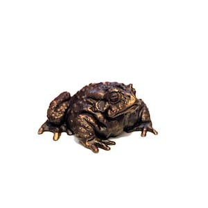 Bronze Toad