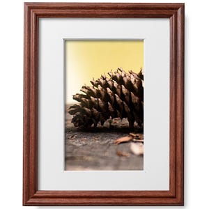 May include: A close-up of a brown pine cone lying on a wooden surface. The cone is in focus, while the background is blurred. The cone is surrounded by a white mat and a brown wooden frame.