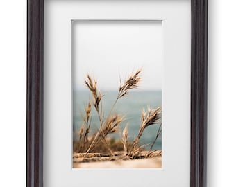 8x10 Coffee Brown Picture Frame Matted to 5x7 for Wall Solid Wood Brown Picture Frame with UV Blocking Plexiglass and Preinstalled Hangers