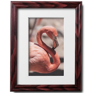 8x10 Cherry Picture Frame Matted to 5x7 for Wall Solid Wood Cherry Picture Frame with UV Blocking Plexiglass and Preinstalled Hangers