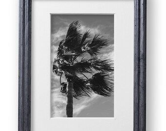 8x10 Distressed Gray Picture Frame Matted to 5x7 for Wall Solid Wood Gray Picture Frame with UV Blocking Plexiglass and Preinstalled Hangers