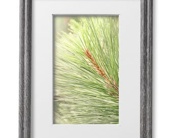 8x10 Barnwood Gray Picture Frame Matted to 5x7 for Wall Solid Wood Gray Picture Frame with UV Blocking Plexiglass and Preinstalled Hangers