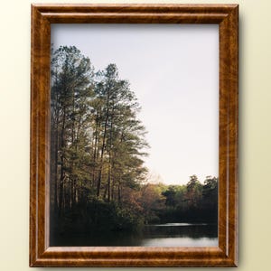 May include: A framed photograph of a lake surrounded by trees. The trees are mostly green, with some brown leaves. The lake is calm and still, reflecting the sky and trees.