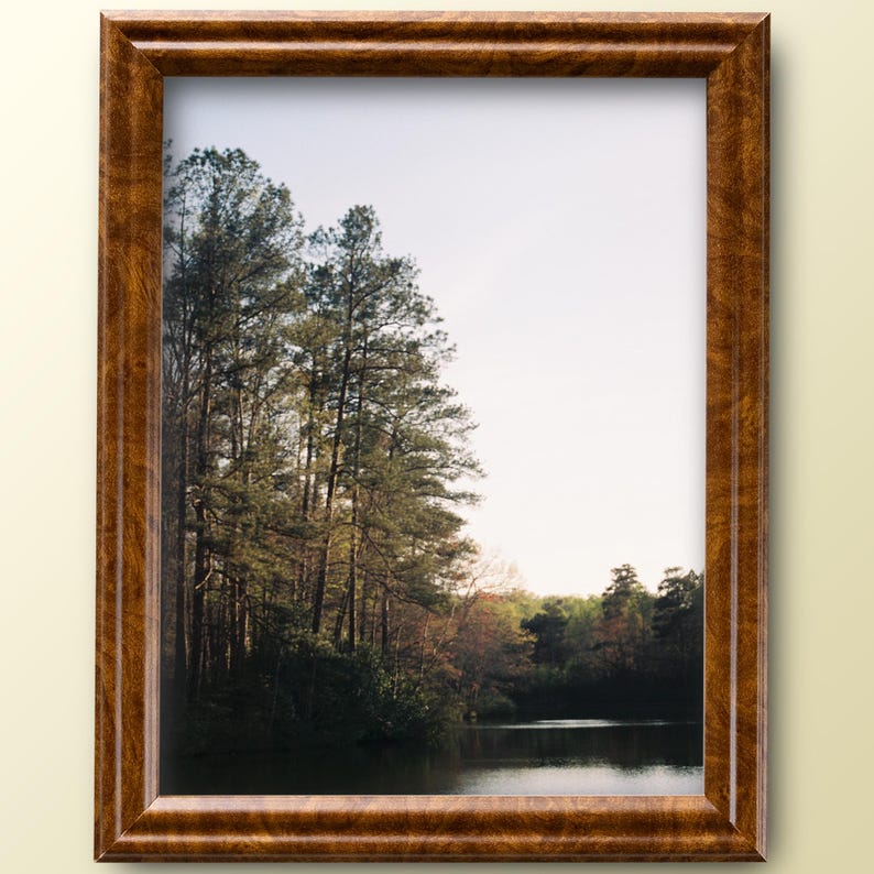 May include: A framed photograph of a lake surrounded by trees. The trees are mostly green, with some brown leaves. The lake is calm and still, reflecting the sky and trees.