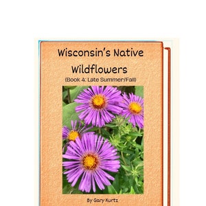 Wisconsin’s Native Wildflowers (Book 4: Summer to Fall) eBook field guide on Pdf format by Gary Kurtz