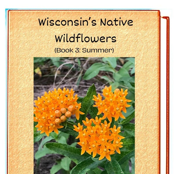 Wisconsin’s Native Wildflowers (Book 3: Summer) ebook field guide on Pdf format by Gary Kurtz