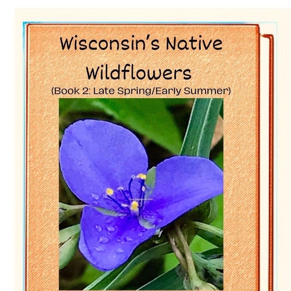 Wisconsin’s Native Wildflowers (Book 2: Late Spring/Early Summer) ebook field guide in Pdf format by Gary Kurtz