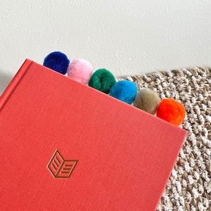 Pom Pom Paperclip Bookmark | Multicolor Pom Poms | Bible Place Holder | Rainbow Pom Pom Paper Clip Bookmark
