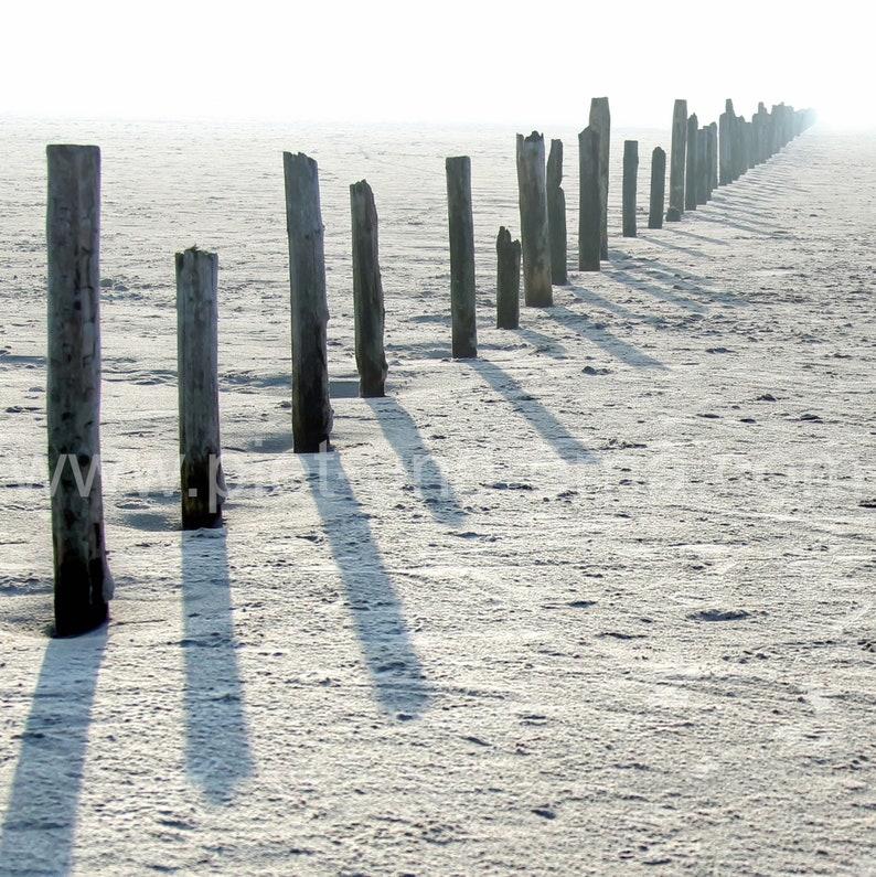 Strandpfähle Holzbild Bild 5