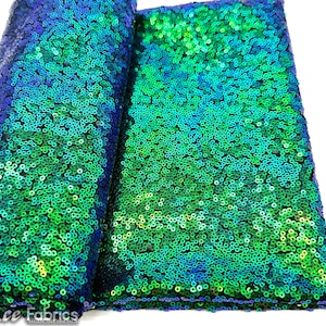 Könnte beinhalten: Grün und blaue, schimmernde Pailletten auf einem schwarzen Netzstoff. Die Pailletten sind in einem Muster angeordnet, das an Fischschuppen erinnert.
