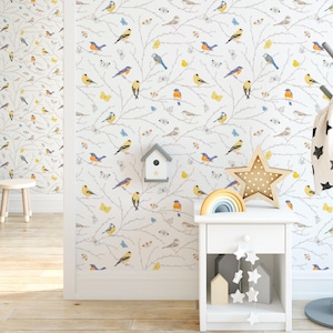 Colorful butterflies Java sparrow bird wallpaper removable nursery birds butterfly wallpaper java finch decor Peel and Stick birds decal art