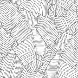 Sketch banana leaf wallpaper peel and stick wallpaper monochrome tropical leaf nursery decor mural removable custom color dimensions image 5