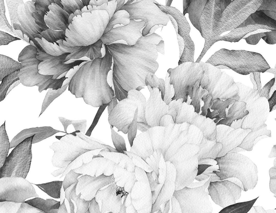 Watercolor gray and white peony wallpaper peonies flower Etsy