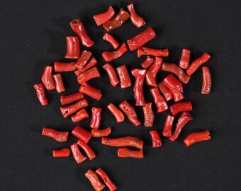 Rami di corallo rosso mediterraneo naturale - 40 gr.