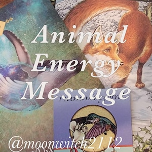 Animal Energy Orakel Kartenbotschaft - Same Day Animal Guide Psychic Reading - Maximal 24 Stunden Lieferung (Auf Bestellung digitaler Download-PDF)
