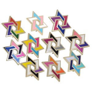 Six-Pointed Star of David LGBT+ Pride Pin | Pick Rainbow Bisexual Pansexual Asexual Lesbian Gay Male Omnisexual Nonbinary Genderfluid Trans