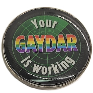 Your Gaydar Is Working Enamel Pin | LGBTQ Flirting Pride Jewelry