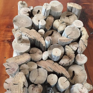May include: A collection of driftwood pieces, some cut into circles, arranged on a white surface. The wood is a light brown color and has a natural, weathered look.