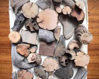 Driftwood Art Sculptures by Jeffro Uitto