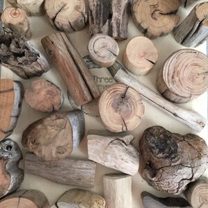 May include: A collection of driftwood pieces in various shapes and sizes. The wood is a light brown color and has a natural, weathered look. Some of the pieces have a circular shape, while others are long and thin. The wood is arranged on a light brown surface.