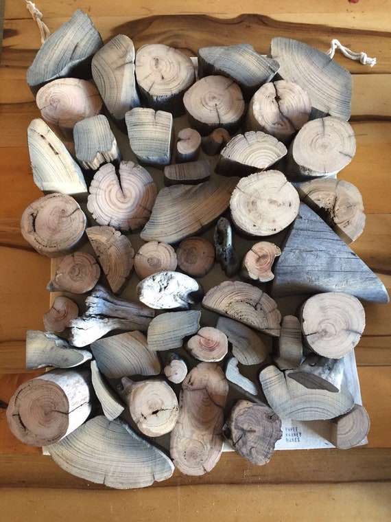 Driftwood Blocks - 50 Natural Wooden Blocks