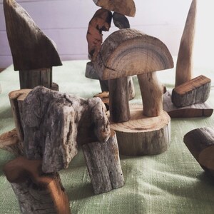 May include: A collection of natural wood pieces arranged in a whimsical display. The pieces are various shapes and sizes, with some resembling mushrooms, trees, and other natural forms.